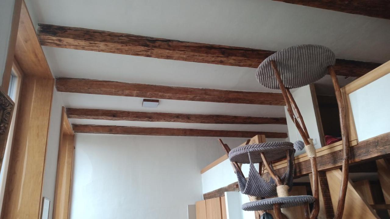 Appartement Bydleni V Centru Ov Blizko Stodolni, Bez Vytahu à Ostrava Extérieur photo