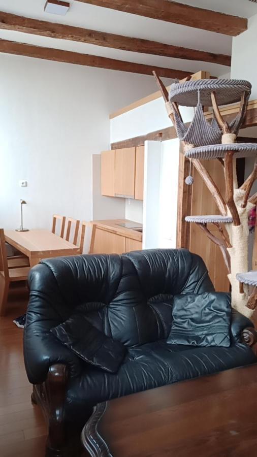 Appartement Bydleni V Centru Ov Blizko Stodolni, Bez Vytahu à Ostrava Extérieur photo