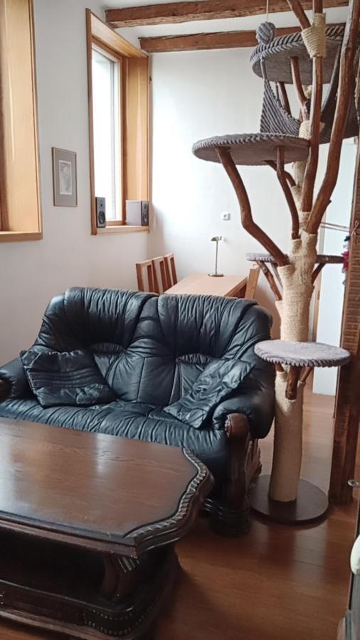 Appartement Bydleni V Centru Ov Blizko Stodolni, Bez Vytahu à Ostrava Extérieur photo