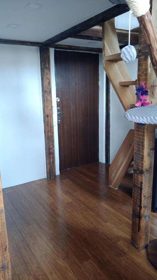 Appartement Bydleni V Centru Ov Blizko Stodolni, Bez Vytahu à Ostrava Extérieur photo